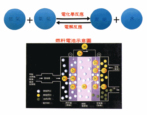 氢氧燃料电池的原理