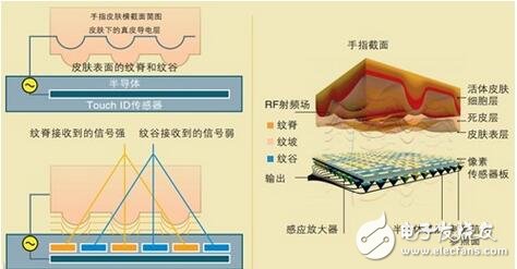 指纹识别传感器技术的演变历程