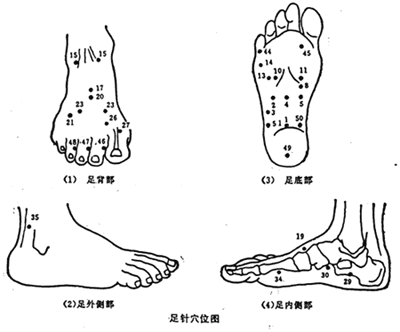 腳的穴位圖足底腳面