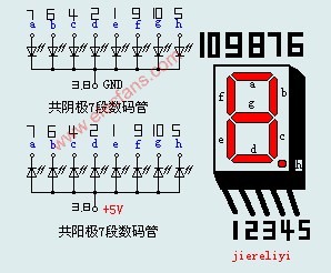 一位数码管的管脚图