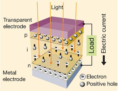 A net positive charge develops