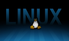 基于嵌入式Linux内核的系统设备驱动程序开发设计