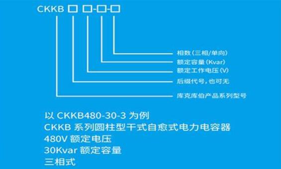 电力电容器原理结构_电力电容器规格型号