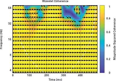 The magnitude squared coherence between the ensembled averages of the two compared PPG signals